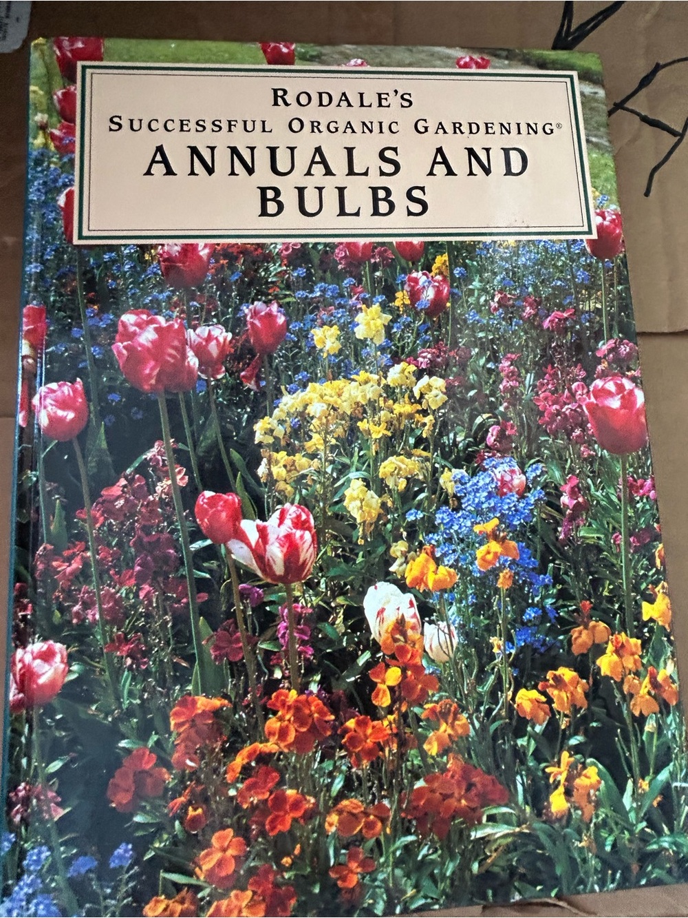 Annuals and Bulbs - Colorful Flower Garden Guide